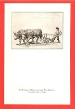 Der pflüger otto quante - pflüger,