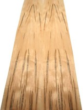 Ahorn Ambrosia Maple Furnier wild 132x14-16cm 7 Blätter