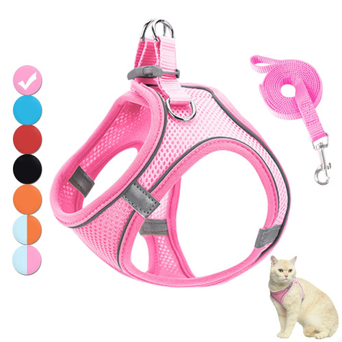 Katzen geschirr set - katzen,