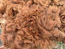 Alpaka Vlies Rohwolle 700g