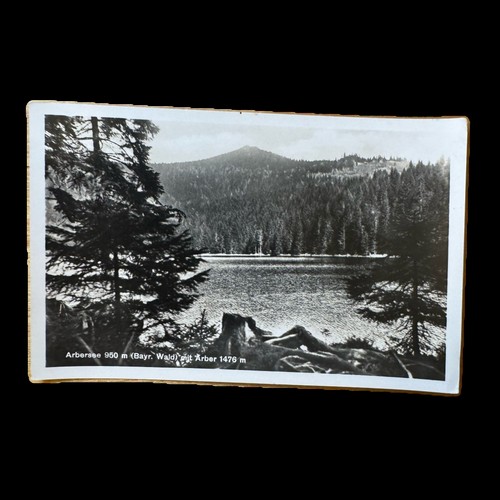 Ansichtskarte postkarte arber - ansichtskarte,