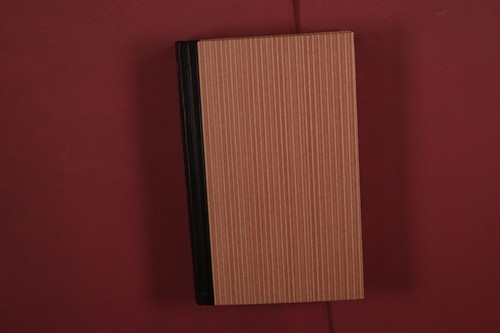 399915 edgar allan poe - 399915,