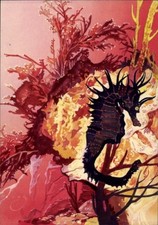 Künstler Ak Wendt, Seepferdchen, Curta und Co GmbH - 11361230