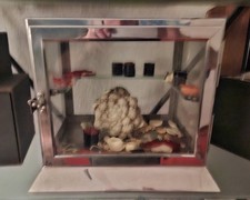 Glas Und Metall - Frankreich - 19. Jahrhundert