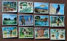 Sammelbilder DEUTSCHE KOLONIEN 12 Kärtchen