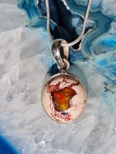 Tolle Farben!!  Großer