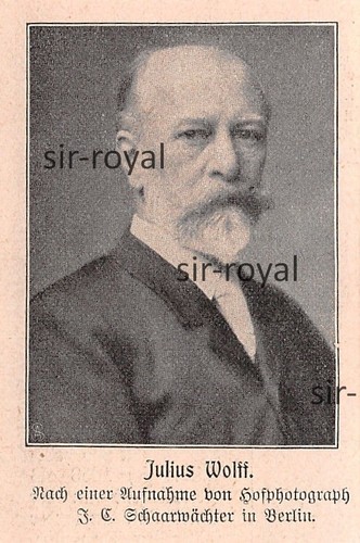 Julius wolff 1904 - -,