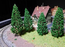 10 dunkelgrüne Tannen