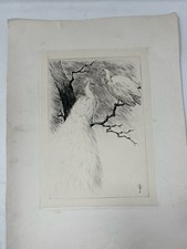 Julia Wernicke Argentina