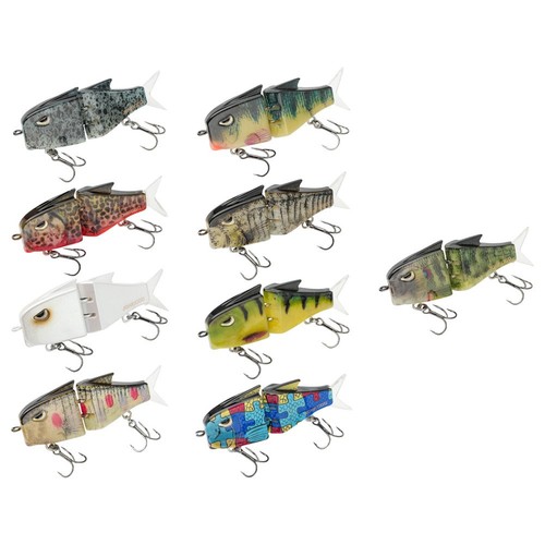 Angeln expeditionen barsch - expeditionen,