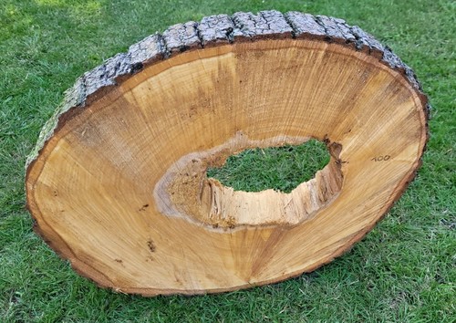 Baumscheibe von der - 🌳,