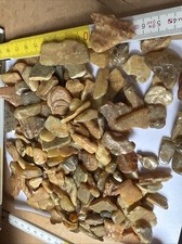 ca.275 gr. Seltener Baltische