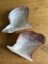 2 Perlmutt Muscheln Mother of
