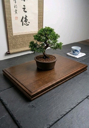 Bonsaitisch holz tisch - bonsaitisch, bonsai