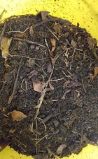 10 Liter Startersubstrat