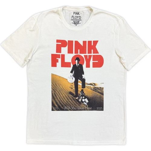 Pink floyd invisible man - invisible,