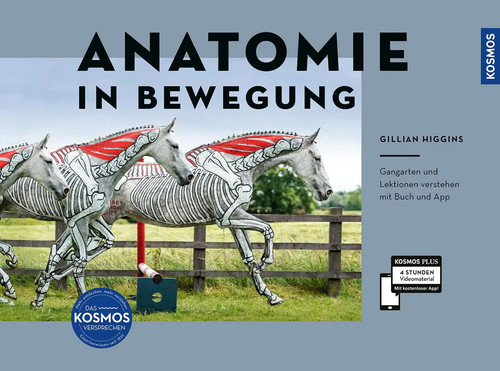 Anatomie bewegung gillian - |,