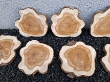 Baumscheibe Holzscheibe DEKO