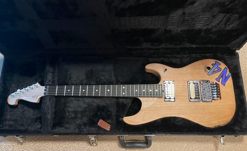 Washburn vintage usa - washburn,
