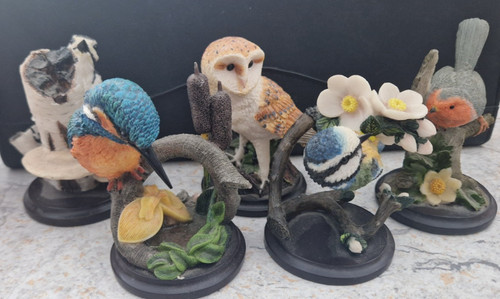 Unsere schöne vogelwelt - unsere,