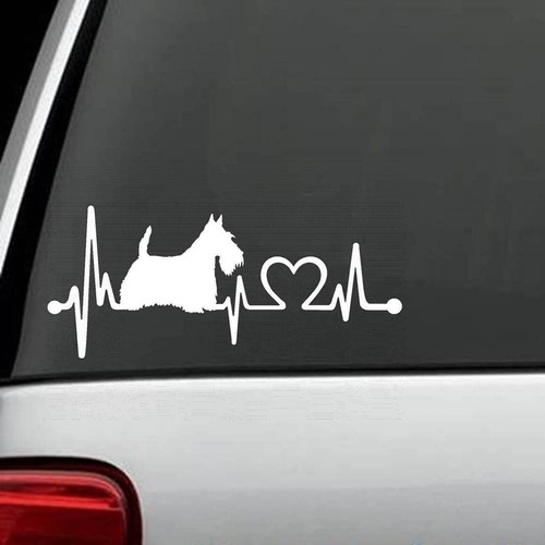 Scottish terrier heartbeat - scottish,