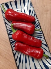 Scharfe Pepperoni Trilop