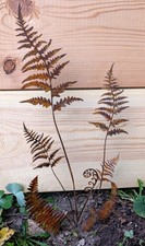 10 tlg Set Farn Edelrost Metall Gartendeko Topfstecker Gartenstecker Vintage 