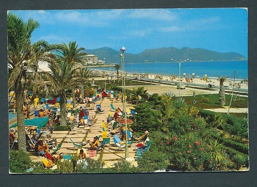 Cala - ,