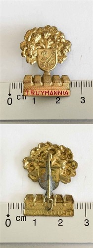 Alter pin anstecknadel - pin,