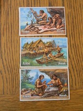 Nachlass-3 Sammelbilder