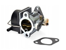 Vergaser für Tecumseh OHV110