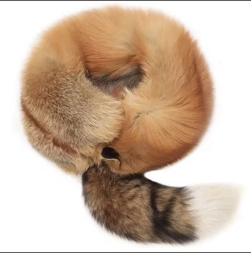 Fuchsstola echter fuchs - fuchsstola,,