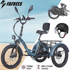 Fafrees Cargo Trike 750W