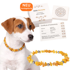 Bernsteinkette Hund - Halsband