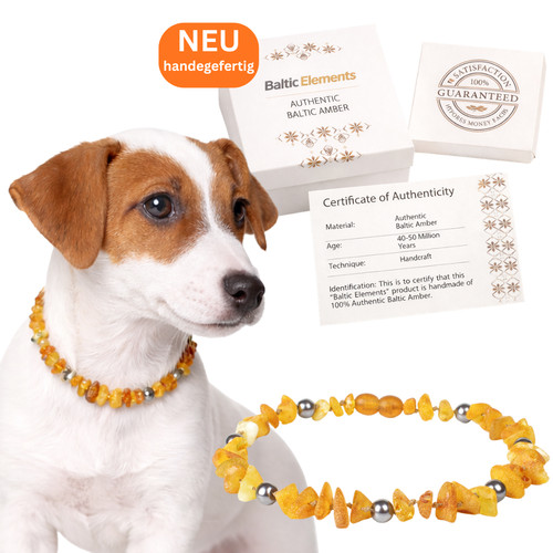 Bernsteinkette hund halsband - bernsteinkette,