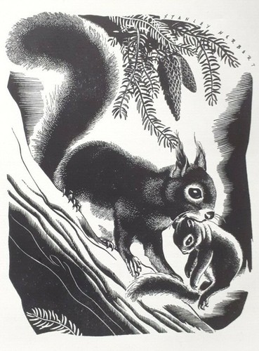 Rotes eichhörnchen bausatz - eichhÖrnchen, &