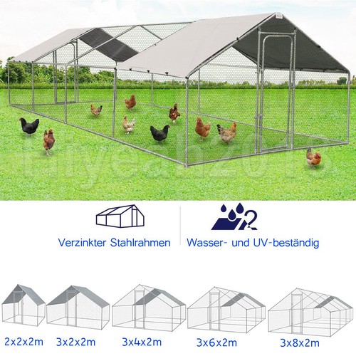 Hühnerstall enten hennen - enten,