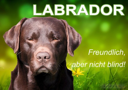 Warnschild labrador - 🐾warnschild,