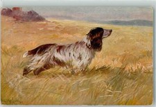 39435449 - Jagdhund English Springer Spaniel SBD Serie 4309-2 Mailick, A.