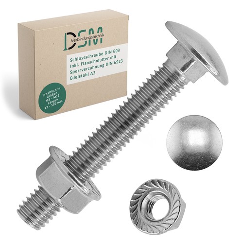 Schlossschrauben set mit - set,