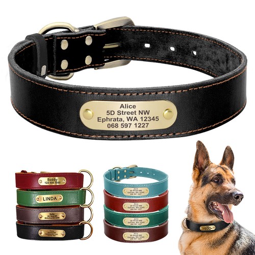 Echtes leder hundehalsband - echtes,