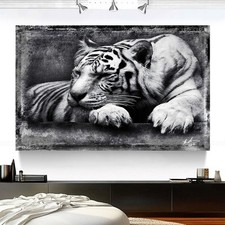 Leinwand Bild Tiger Schwarz