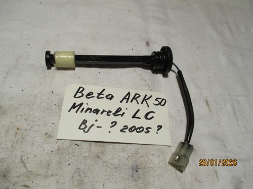 Beta ark original - beta,