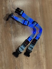 Leuchthalsbänder Hund Gr. S