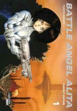 Battle Angel Alita - Perfect