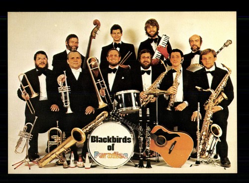 Blackbirds paradise - blackbirds, of