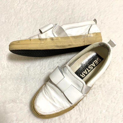 Golden goose ggdb - goose, seastar