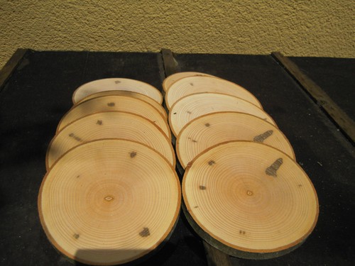 Holzscheiben astscheiben - 10,