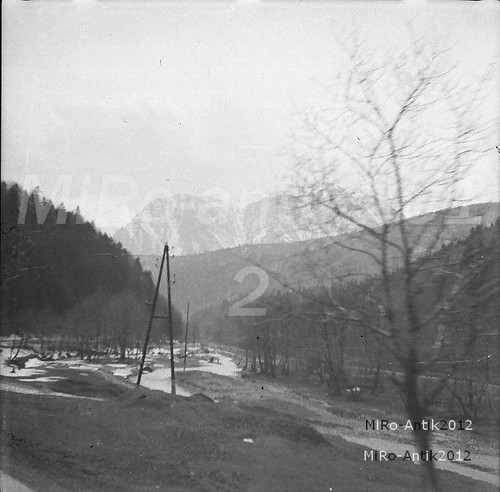 Foto negativ btl 51 - foto-negativ,, pz.pi.btl.51