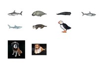 Maia & Borges  Spielfiguren